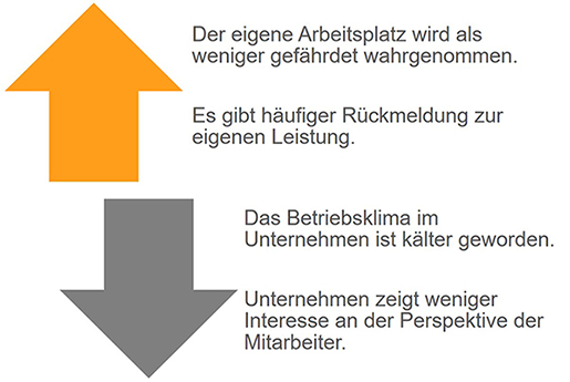 SKOPOS VIEW Wiederholungsstudie Grafik 2