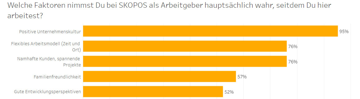Employer Branding bei SKOPOS
